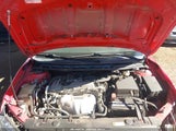 Miniaturka zdjęcia 10