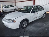 Chevrolet Cavalier 1G1JC52F237377685 fotografie