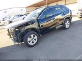 Toyota Rav4 Xle 2T3W1RFV8LW073843 снимка