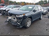 Toyota Rav4 Xle JTMP1RFV8KD510773 fotografie