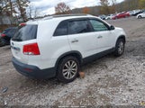 Kia Sorento Lx V6 5XYKTDA21BG140871 photo