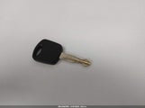 Miniaturka zdjęcia 11