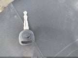 Miniaturka zdjęcia 11