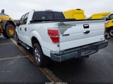 Ford F-150 Xlt 1FTFW1EF3EKG25421 снимка