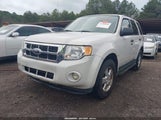 Ford Escape Xlt 1FMCU0DG1BKA04022 снимка