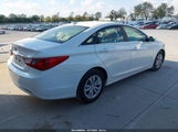 Hyundai Sonata Gls 5NPEB4ACXBH151952 снимка