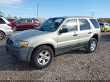 Ford Escape Xlt/Xlt Sport 1FMYU03106KA68710 photo