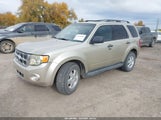 Ford Escape Xlt 1FMCU9DG5CKC09753 fotografie