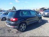 Volkswagen Tiguan Se WVGBV7AXXBW510169 fotografie