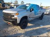 Chevrolet Silverado  4Wd Short Bed Custom Trail Boss 1GCPYCEF1LZ375255 fotografie