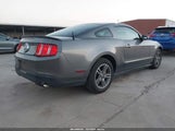 Ford Mustang V6/V6 Premium 1ZVBP8AN4A5169744 photo