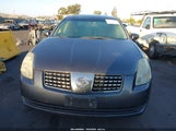 Nissan Maxima 3.5 Se 1N4BA41E96C861312 снимка