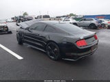 Ford Mustang Ecoboost 1FA6P8TH8F5344196 снимка