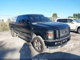 Ford F-250 Fx4/Harley-Davidson/King Ranch/Lariat/Xl/Xlt 1FTSW21R28EC12400 fotografie