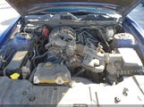 Ford Mustang V6 Premium 1ZVBP8AM1D5230656 снимка