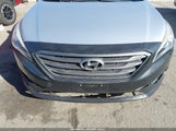 Hyundai Sonata Sport 5NPE34AF9GH345368 fotografie