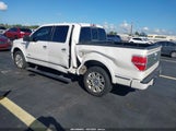 Ford F-150 Platinum 1FTFW1CT6BFC45311 снимка