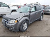 Ford Escape Xlt 1FMCU9D77BKB99242 снимка