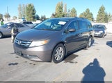 Honda Odyssey Ex-L 5FNRL5H69FB036199 снимка