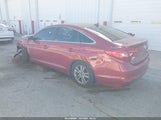 Hyundai Sonata Se 5NPE24AF5GH312869 снимка