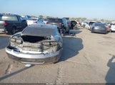 Miniaturka zdjęcia 4