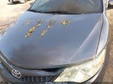 Toyota Camry Se 4T1BF1FKXEU857041 снимка