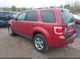 Ford Escape Limited 1FMCU9EG7CKB39901 снимка