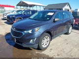 Chevrolet Equinox Ls 3GNAXREVXJL135247 снимка