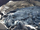 Chrysler Pt Cruiser Touring 3C4FY58B25T593036 снимка