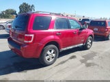 Ford Escape Xlt 1FMCU03118KE11117 снимка