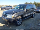 Jeep Grand Cherokee Overland 1J8GW68JX4C365120 fotografie
