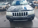 Jeep Grand Cherokee Limited 1J4GX58N44C326731 fotografie
