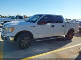 Ford F-150 Xlt 1FTFW1CT7DFE03495 снимка