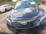 Toyota Camry Le 4T1BE46K19U834046 снимка