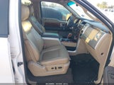 Ford F-150 Fx4/Harley-Davidson/King Ranch/Lariat/Platinum/Xl/Xlt 1FTFW1EV0AFC91097 photo