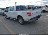 Ford F-150 Fx4/Harley-Davidson/King Ranch/Lariat/Platinum/Xl/Xlt 1FTFW1EV8AFD31443 fotografie