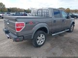 Ford F-150 Fx4/Harley-Davidson/King Ranch/Lariat/Platinum/Xl/Xlt 1FTFW1EV9AFC33277 photo