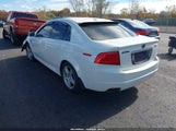 Acura Tl 19UUA66206A049911 снимка