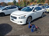 Nissan Maxima 3.5 Sv 1N4AA5AP0CC867093 снимка
