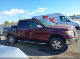 Ford F-150 Fx4/King Ranch/Lariat/Platinum/Xl/Xlt 1FTPW14V69FA21132 fotografie