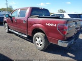 Ford F-150 Fx4/King Ranch/Lariat/Platinum/Xl/Xlt 1FTPW14V69FA21132 fotografie