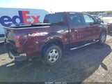 Ford F-150 Fx4/King Ranch/Lariat/Platinum/Xl/Xlt 1FTPW14V69FA21132 снимка