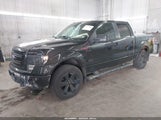 Ford F-150 Fx4 1FTFW1ET3DFB78750 снимка