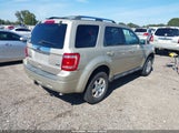 Ford Escape Limited 1FMCU0EG7BKB83049 fotografie
