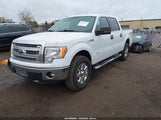 Ford F-150 Xlt 1FTFW1ET6DFB28781 снимка