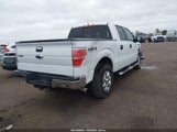 Ford F-150 Xlt 1FTFW1ET6DFB28781 снимка