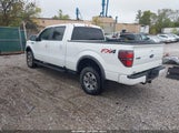 Ford F-150 Fx4/King Ranch/Lariat/Platinum/Stx/Xl/Xlt 1FTFW1EF7EFB75281 fotografie