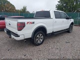 Ford F-150 Fx4/King Ranch/Lariat/Platinum/Stx/Xl/Xlt 1FTFW1EF7EFB75281 photo