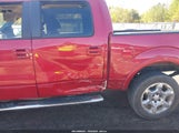 Ford F-150 Fx4/Harley-Davidson/King Ranch/Lariat/Platinum/Xl/Xlt 1FTFW1EV2AFA39920 photo