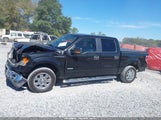 Ford F-150 Xlt 1FTFW1CT1DKD41213 fotografie